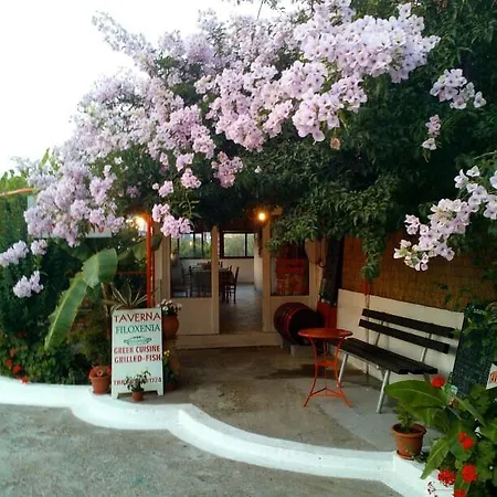 Theodore * ザハロ