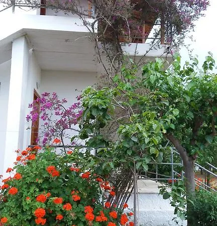 Theodore アパート ザハロ