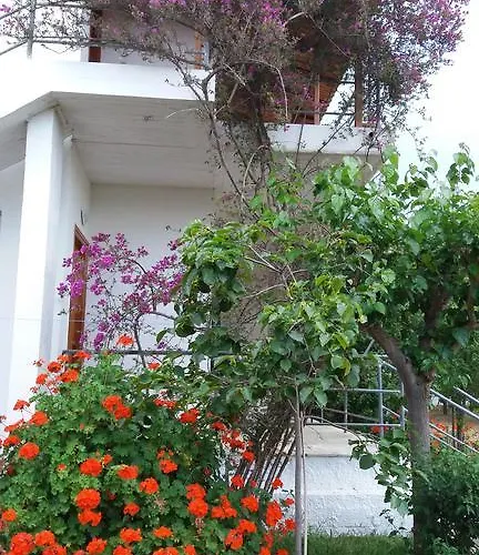 Theodore Apartamento Zacharo